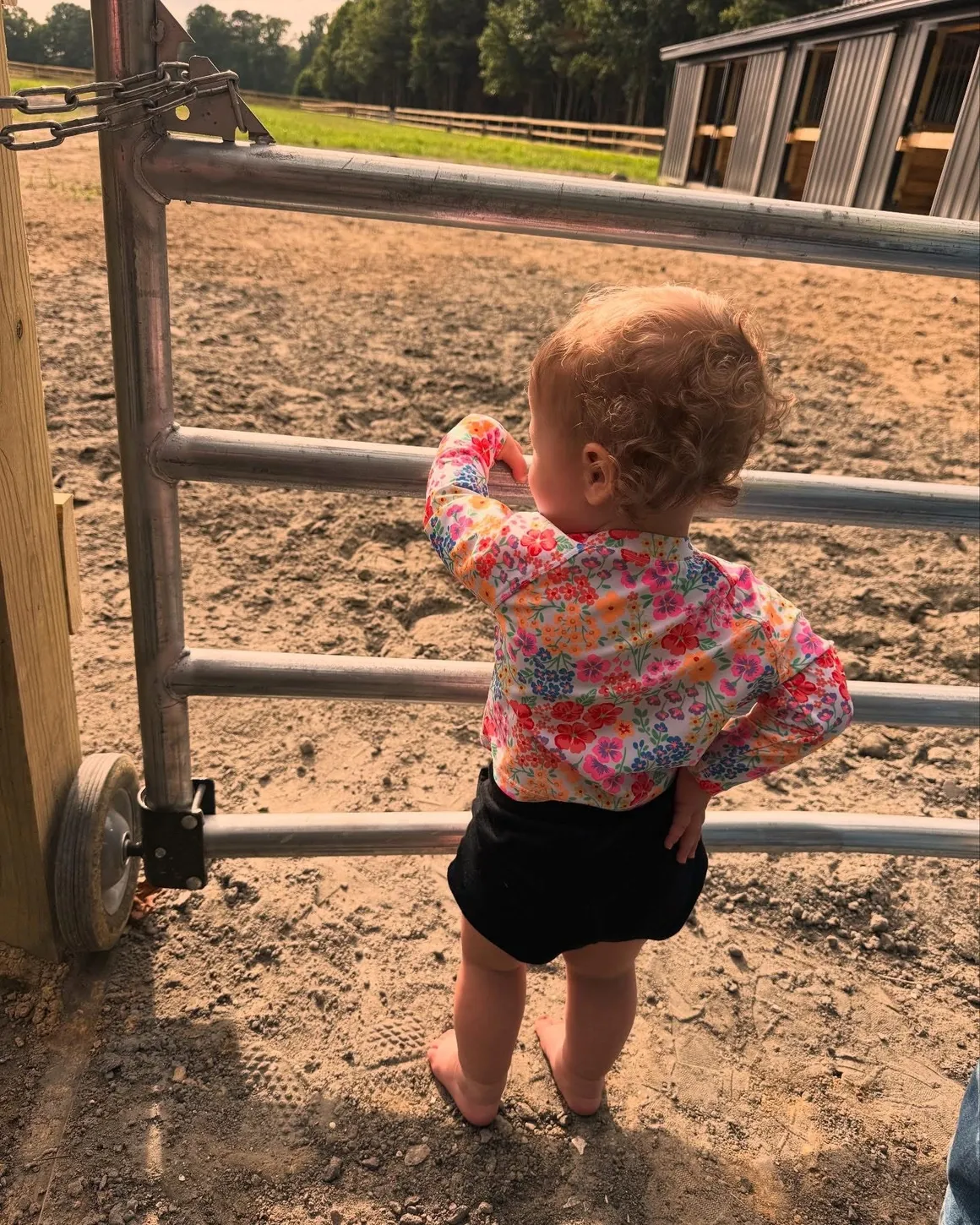 Young person with horse at gate